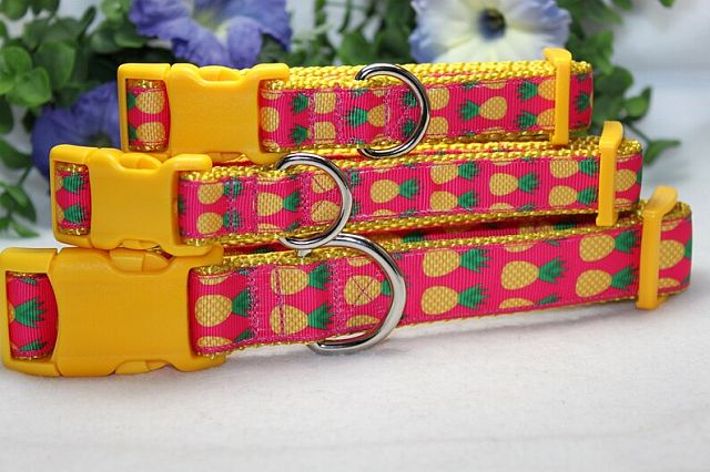 orange color with yellow pineapple pattern dog collar for walks